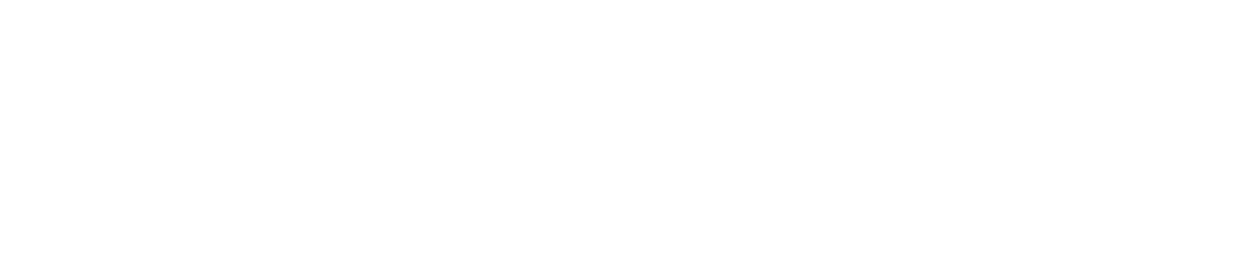 The vulnscanner AI logo black and white